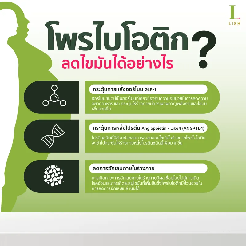 Lish Flora รูปที่ 3