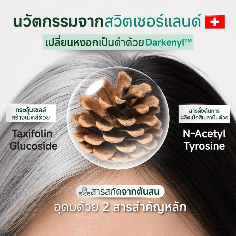 Lish Hair รูปที่ 3