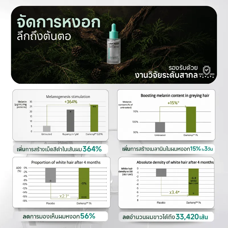 Lish Hair รูปที่ 4
